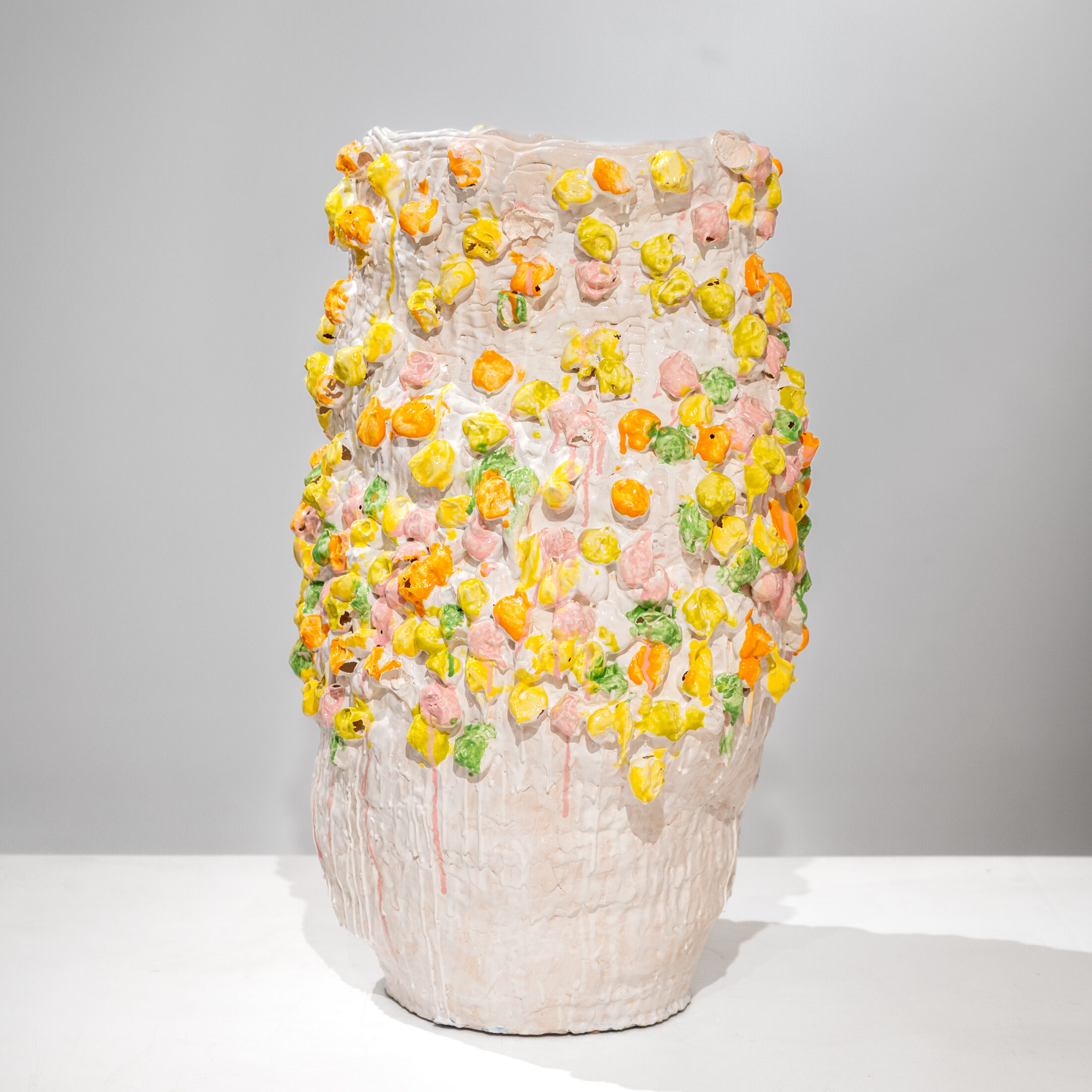 Tamara Van San - Rewilding the wolrd Tamara Van San - Rewilding the wolrd